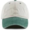 image:imageThe Hat Depot 100 Cotton Pigment Dyed Low Profile Dad Hat Six Panel Cap2 BeigeGreen