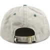 image:imageThe Hat Depot 100 Cotton Pigment Dyed Low Profile Dad Hat Six Panel Cap2 BeigeGreen