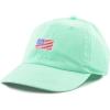 image:imageThe Hat Depot Kids American Flag amp Cute Embroidery Cotton Baseball Cap HatAqua