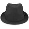 image:imageThe Hat Depot Premium Paisley Lining Unisex Fedora Hat1 Premium  Black